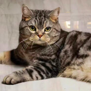 喝了豆奶才可以讲话