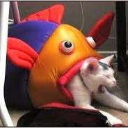 たいちゃんの女