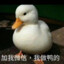 注意我的二闪