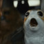 Porg