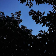 WLAN是啥我不知道