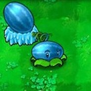 西瓜投手（夏日限定）