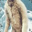 DweaselIsMyStageName [bets.gg]