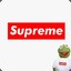 Ervin_ty