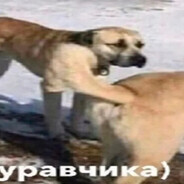 розжиг для углей