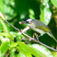 水表,shui biao , sb