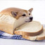 DrBread