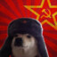 daybogzdorovya