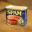 spam