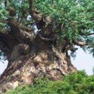 =❤KYliNeReynne❤=