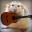 Rato