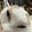Feda's Avatar