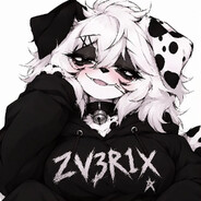 Аватар Zveri [Medic]