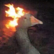 ゆゆこ一番好き