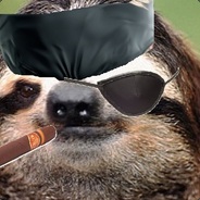 Solid Sloth