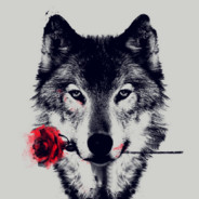 ❤𝓓𝓮𝓮𝓶𝓸𝓣𝓻𝓮𝓮𝓼❤