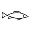 ImFish