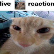 battery acid chugger