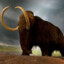 Epic Mammoth