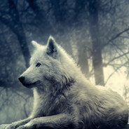 Wilku