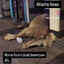 ATL HORSE