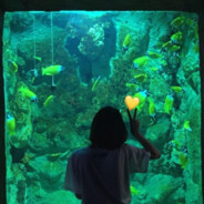 对不起我是家人侠