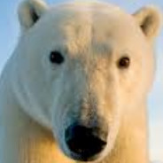 PolarsBeard