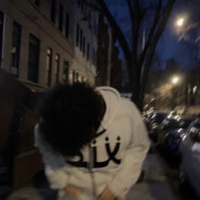 ᶠᵉᵃʳˡᵉˢˢ