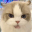 小生