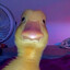 DUCKY