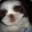 Steam avatar of BellardB