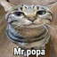 Mr Popa