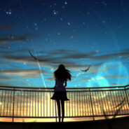 薛定谔的哈士奇