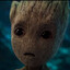 ADIM GROOT