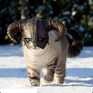 吃着火锅唱着歌