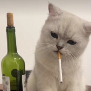 想和月亮说晚安