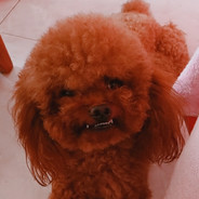 扑你是我爱做的事