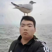 午夜忧郁纯情暴龙战士