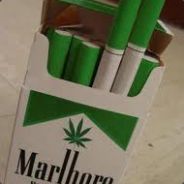 Natoliński Styl | MIECZU