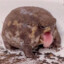 mur_a_mur