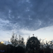 盗号仔4️⃣全家