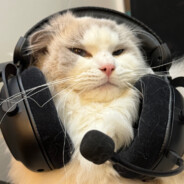 donk.exe (賣貓還債)