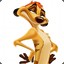 TIMON