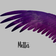 Metta (NZ3)