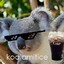 koalamitice~