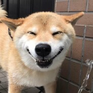 一步十算黄三甲