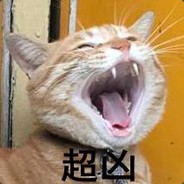 桂林龙船坪扛把子