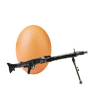 Стационарное яйц