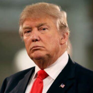 美国之鹰特朗普