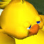chocobo